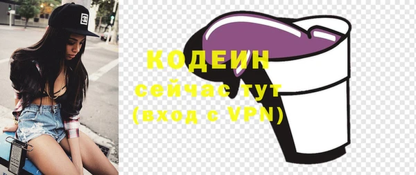 прущие грибы Абаза