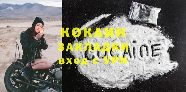 прущие грибы Абаза