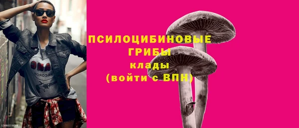 прущие грибы Абаза