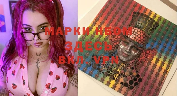 прущие грибы Абаза