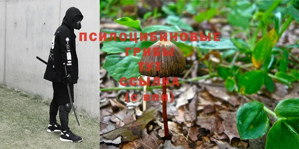 хмурый Абинск