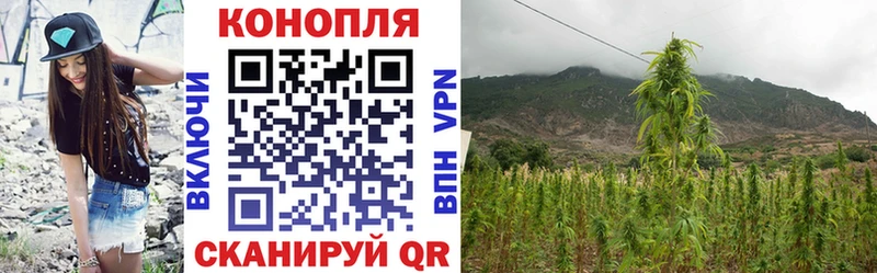 магазин    Холм  darknet официальный сайт  Канабис THC 21% 